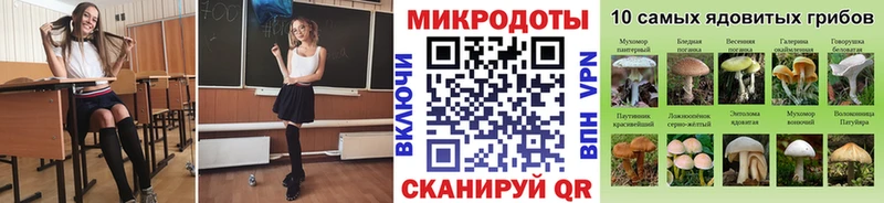 Псилоцибиновые грибы прущие грибы Северо-Курильск